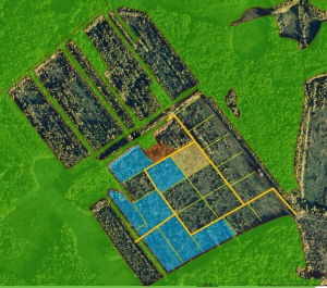 Карта поселения